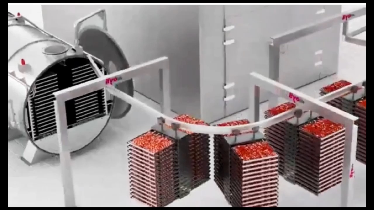 FFD Industrial Food Freeze Dryer Tray Cart Loading System — SJ Scientific video preview