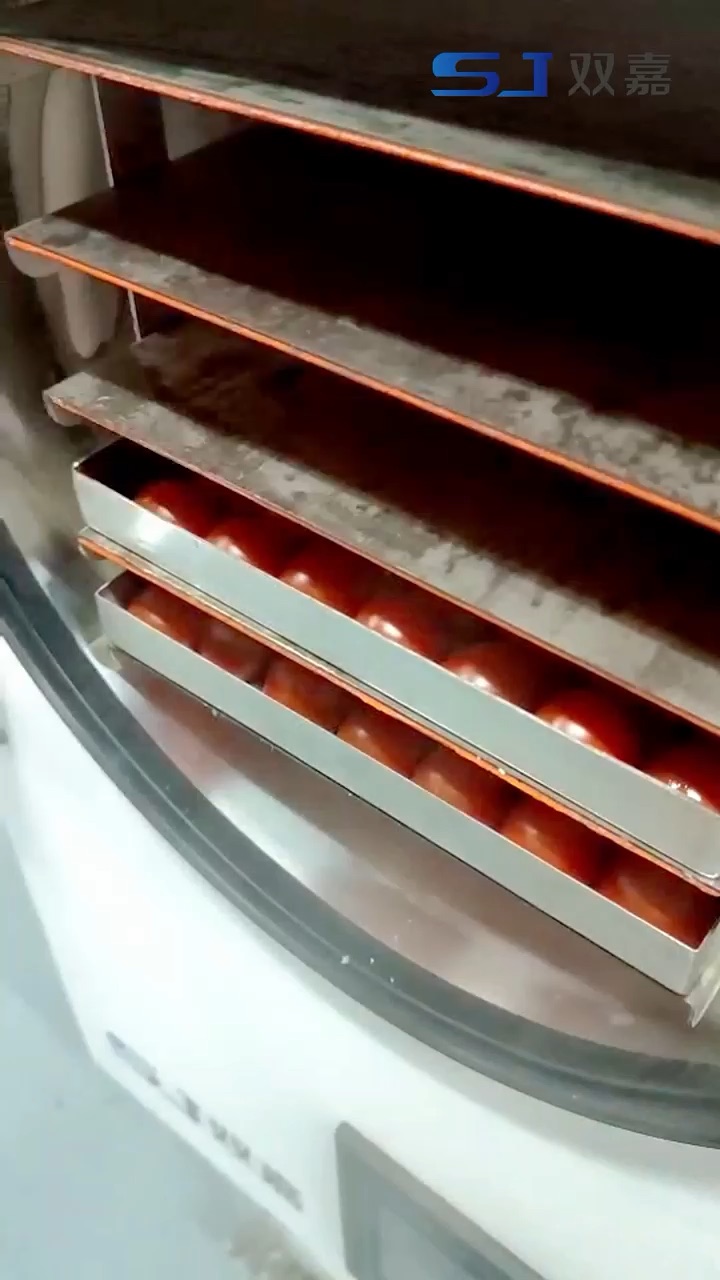 Cherry Tomato Freeze Drying with an H Series Food Freeze Dryer — SJ Scientific video preview