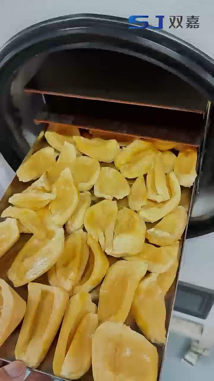 Jackfruit Freeze Drying with an H Series Food Freeze Dryer — SJ Scientific video preview