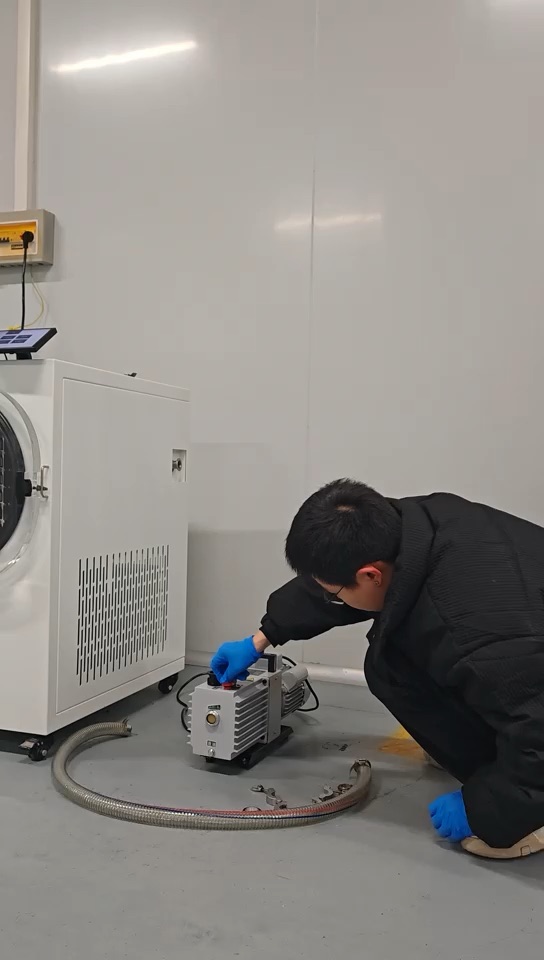 Strawberry Freeze Drying in an H Series Food Freeze Dryer — SJ Scientific video preview