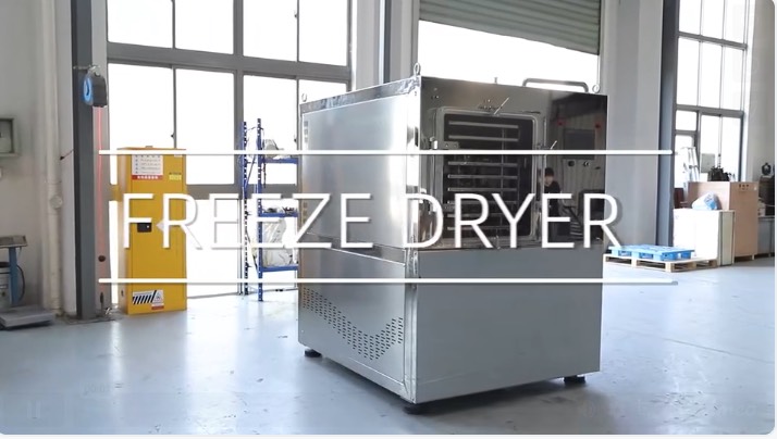SJ Freeze Dryer Factory