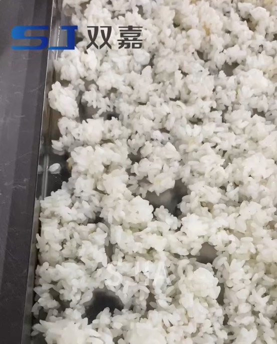 Rice Freeze Dried in SJ food Freeze Dryer