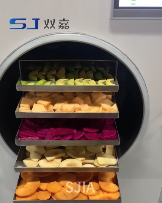 Mixed Fruits freeze Dried in SJ Freeze Dryer