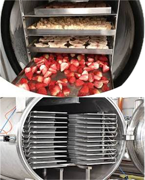 SJ-FFD-100 Industrial Food Freeze Dryer (1000 kg/batch) — view 2