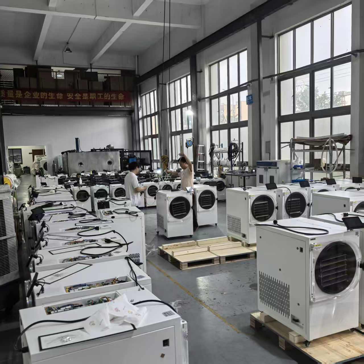 136-unit SJ H Series food freeze dryer production batch 136 unit SJ H Series food freeze dryer production batch with SJ-05H SJ-08H and SJ-10H machines in a China factory
